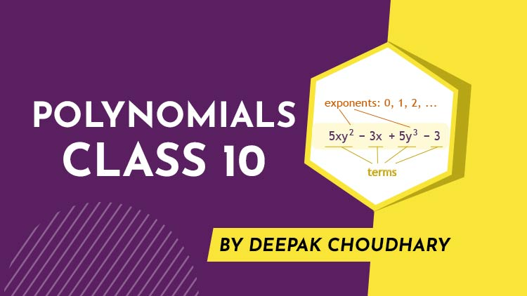 Polynomials: Your Complete Guide